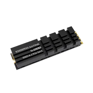 AITC KINGSMAN S1000 4TB M.2 2280 PCIe Gen5x4 NVMe 2.0 SSD With DRAM & Heatshink